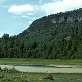 Apache County, the only site in Arizona with U. minor.